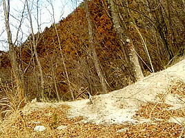 Cute Maid Perverted Transgender Ejaculating & Peeing In The Depths Of A Decaying Mountain